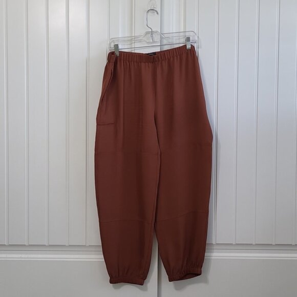 Theory Red Clay Cargo Joggers - Picture 3 of 13